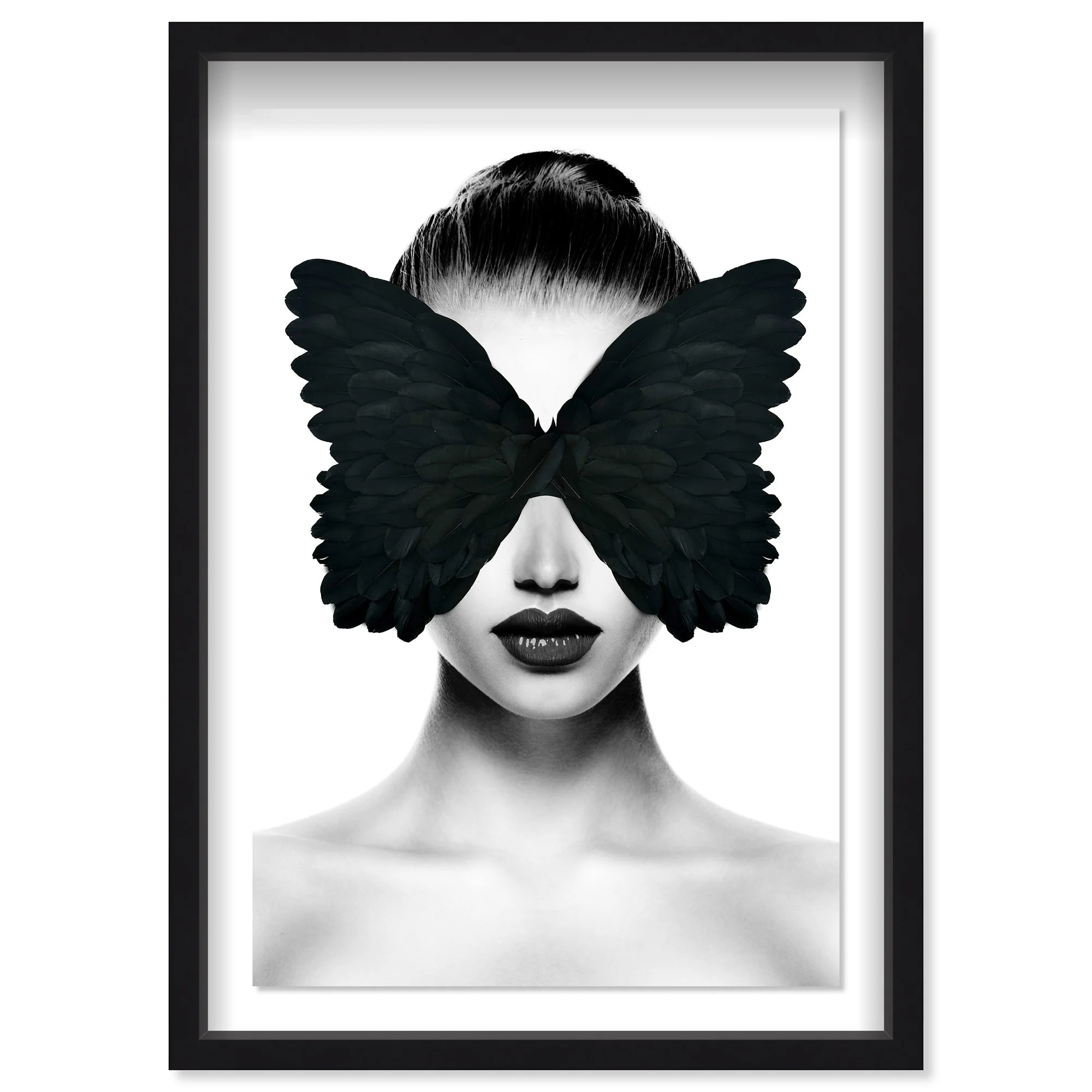 Midnight Duchess II Feathers